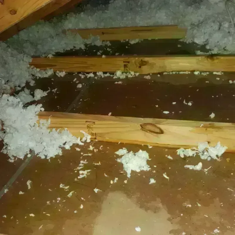 Attic Water Damage in Bloomfield, MO