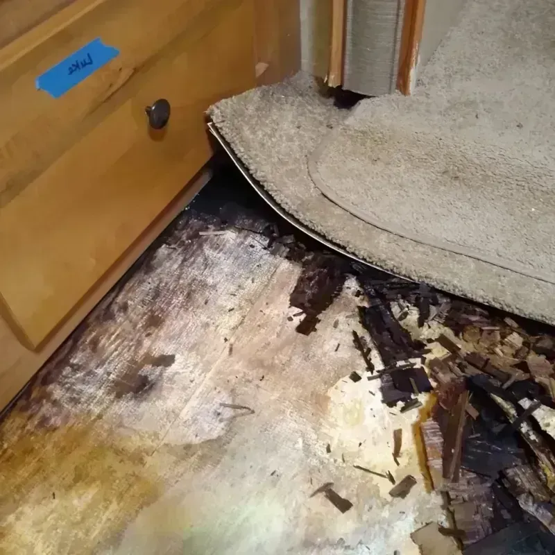 Wood Floor Water Damage in Bloomfield, MO